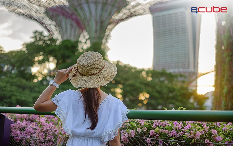 Expat touring Singapore by driving