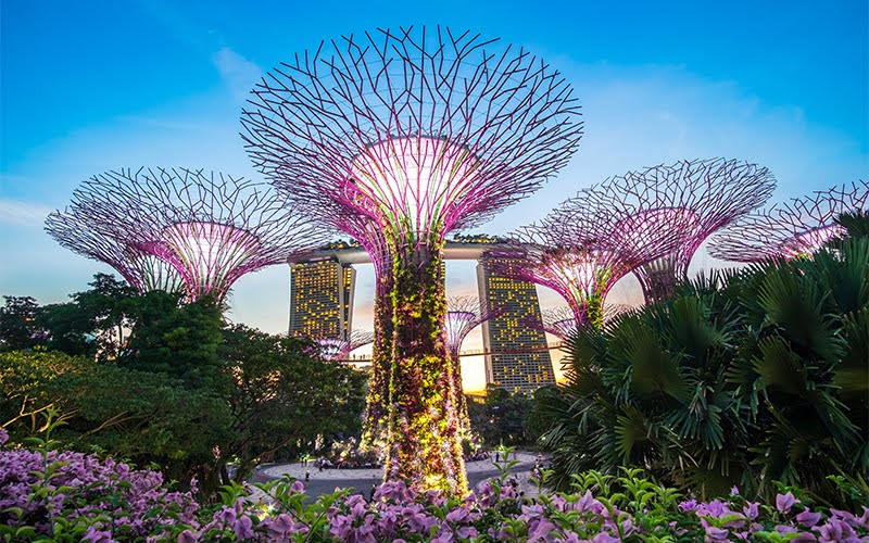 Supertree Grove at Gardens by the Bay, a must-visit free attraction in Singapore for budget-conscious travellers.