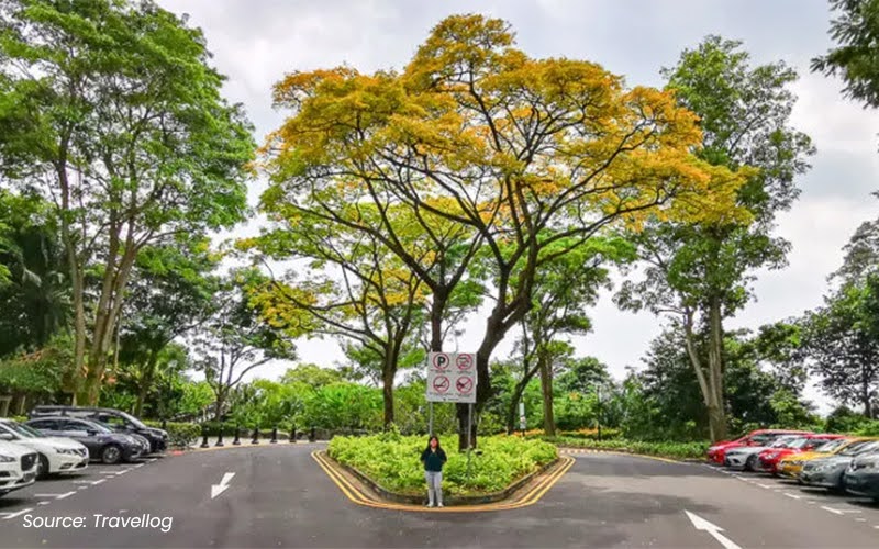 mount faber park nature parking